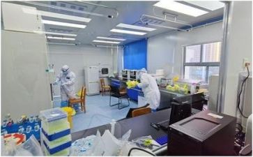 质量部年终个人总结8篇