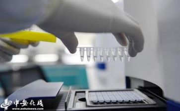 质量工作月总结报告6篇