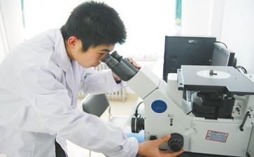 2023质量工作总结范文8篇