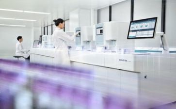 个人质量工作总结优质6篇