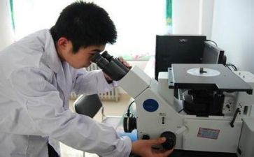 质量工作个人总结优秀8篇