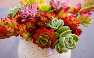 写植物的400字作文7篇