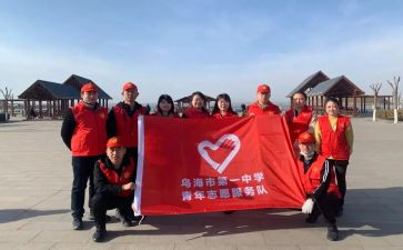 学校志愿者活动方案8篇