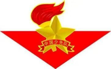 城管中队半年总结6篇