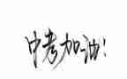 中考优秀作文500字6篇
