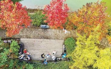 重庆的路作文优秀5篇