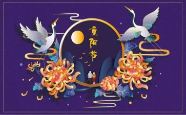 幼儿园重阳节的活动方案优质8篇