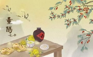 重阳节去敬老院活动方案8篇