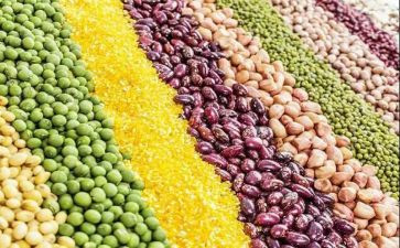 幼儿园大班安的种子教案5篇