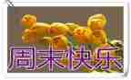 英语我的周末作文优秀8篇