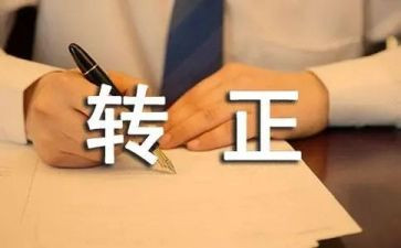 教师转正的个人总结7篇