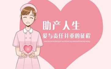 助产士的工作总结8篇