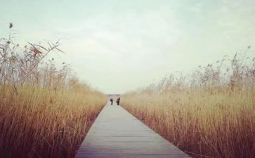 追寻生命的作文6篇