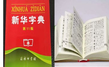 字典作文500字5篇