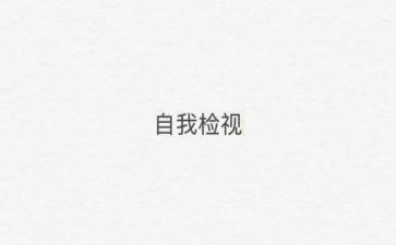 2024年自检自查报告推荐5篇
