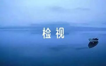 2024年自检自查报告7篇