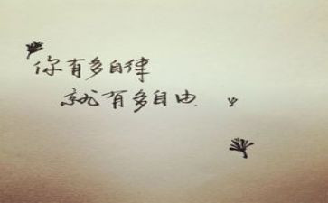 自律队工作总结书范文5篇