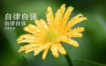 关于“自强不息”的演讲稿5篇