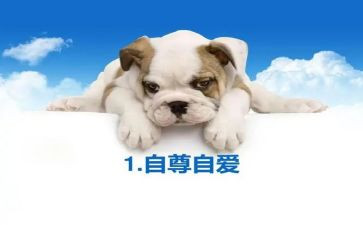 做自尊的人作文通用6篇