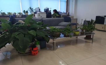 综合部月工作总结范文8篇