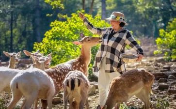 走进中国作文5篇