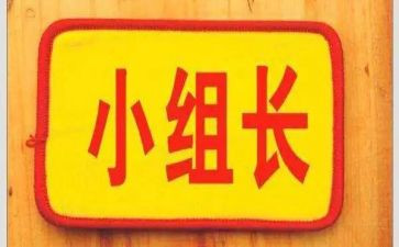 2024年组长工作总结推荐7篇