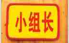 2024年组长工作总结精选5篇