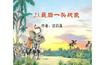《最后一头战象》读后感300字8篇