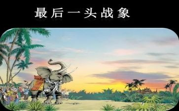 《最后一头战象》读后感600字8篇