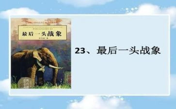 最后一头战象,读后感8篇