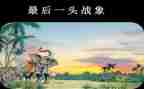 《最后一头战象》读后感600字8篇
