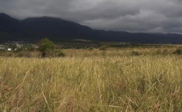 房屋租赁合同合同通用7篇