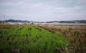 房屋合同范本房屋租赁合同最新6篇