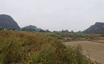 房屋租赁合同模板范文6篇
